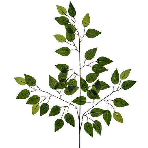 Dark Green Ficus Leaf Branch x 60cm