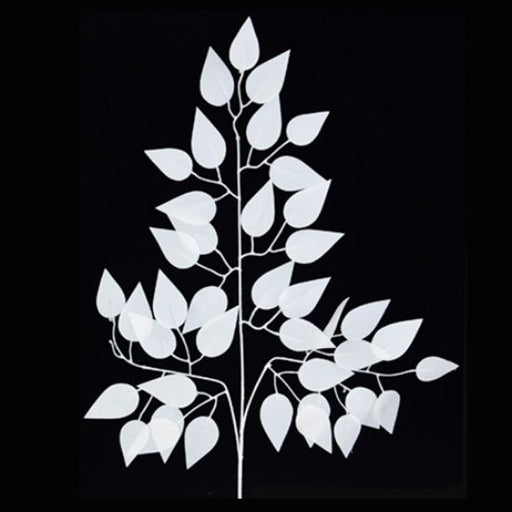 60cm White Ficus Branch