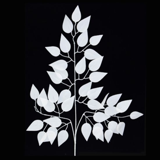 60cm White Ficus Branch