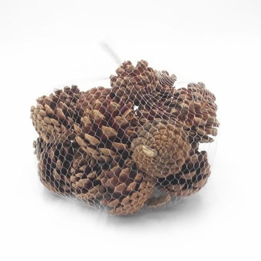 250g Natural Pine Cones