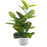 39cm Artificial Ficus Plant in a White Pot