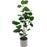 55cm Artificial Eucalyptus Plant in a White Pot