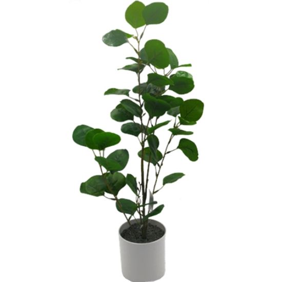 55cm Artificial Eucalyptus Plant in a White Pot