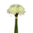 Ivory Rose Bundle With Gyp 26cm