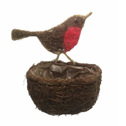 28cm Oval Salim Robin  Planter With Plastic Lining