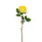 50cm Single Globe Rose Yellow