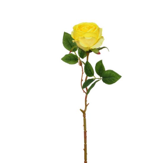 50cm Single Globe Rose Yellow