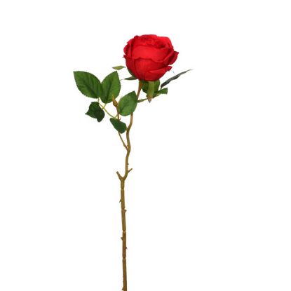 50cm Single Globe Rose Red