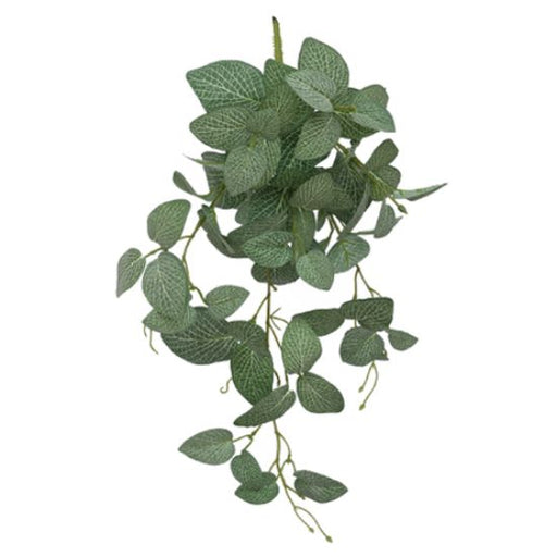 55cm Fittonia Leaf Trail - Green