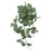 55cm Fittonia Leaf Trail - Green