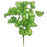 Green Calathea Leaf Bush x 32cm