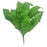 30cm Boston Fern