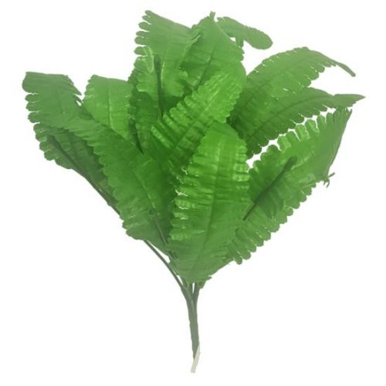 30cm Boston Fern