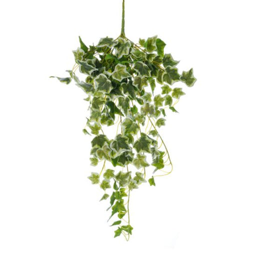 74cm UV Resistant Trailing Ivy Bush Variegated