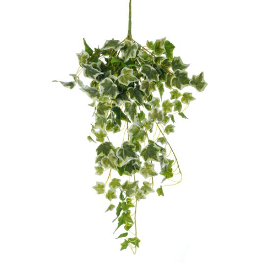 74cm UV Resistant Trailing Ivy Bush Variegated
