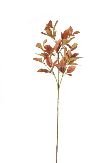 Orange  Shikibi Leaf Spray x Height 80cm