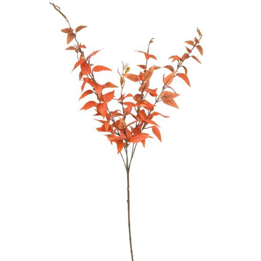 Italian Ruscus Spray x 89cm tall -  Orange/Brown