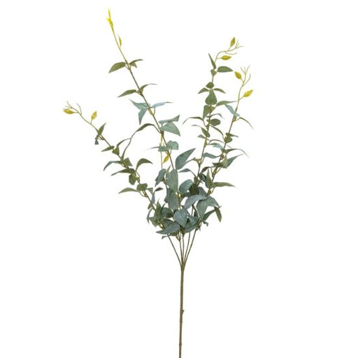 Italian Ruscus Spray x 89cm tall -  Grey/Green