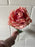 Burnt style single rose- pinky peach