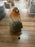 DAMAGED Robin on a  Rock with Hanging Plaque - Special Nan NOSE NEEDS TO BE GLUED