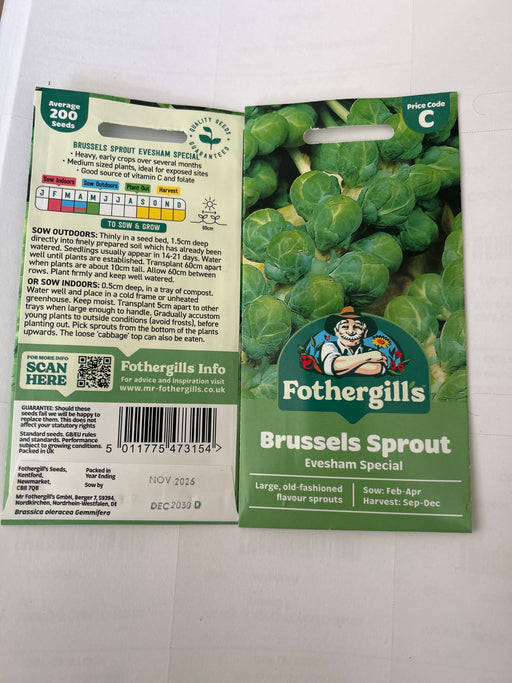 Brussel Sprout Evesham Special Seeds