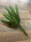 20cm Green Succulent