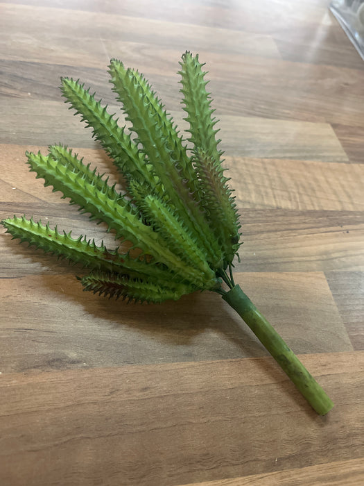 20cm Green Succulent