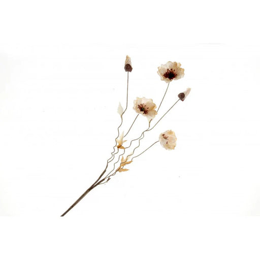 5 Head Dried- Style Cream Poppy Flower Spray x 104cm