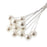 10mm White  Pearls on Wire Stem - 10cm Height 3 bunches x 12 Stems per Bag