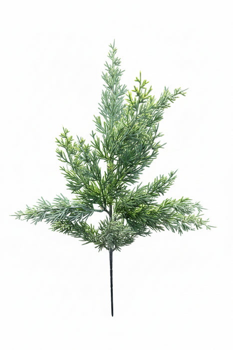 Frosty Pine Bush 50cm