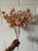 Nude tan eucalyptus bush