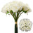 18 Head Rosebud Bundle - Ivory