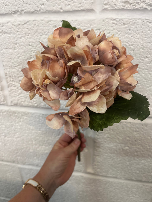 33cm hydrangea stem vintage latte brown
