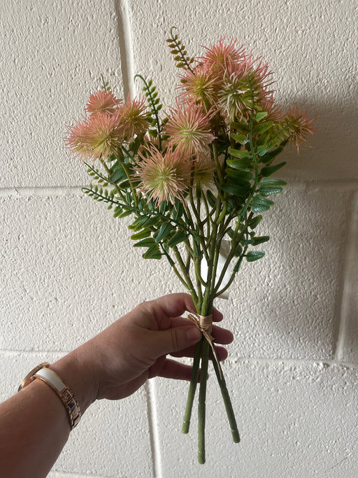 Pink thistle echinops bush