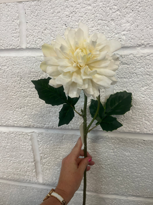 60cm Ivory dahlia stem