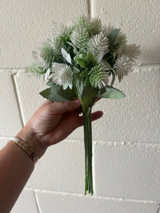 White thistle bush