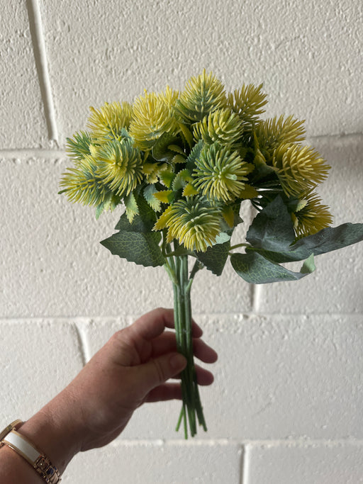 Yellow thistle echinops bush