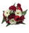 22 Stem Rose Gerbera & Ranunculus Flower Bush - Red & Cream