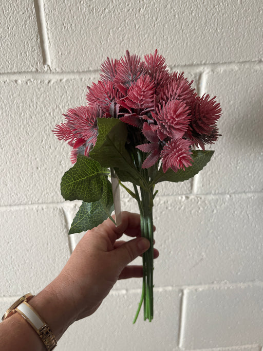 Raspberry pink thistle echinops bush