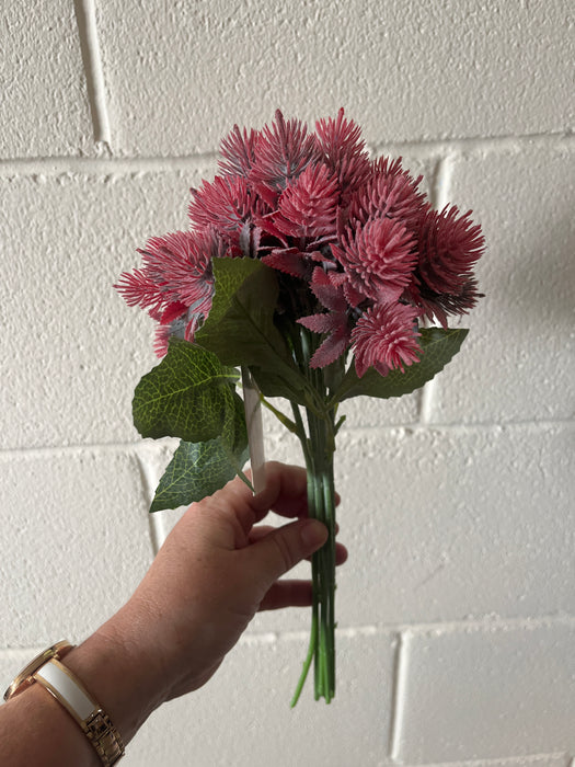 Raspberry pink thistle echinops bush