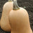 SQUASH (Butternut) Sweet Seeds