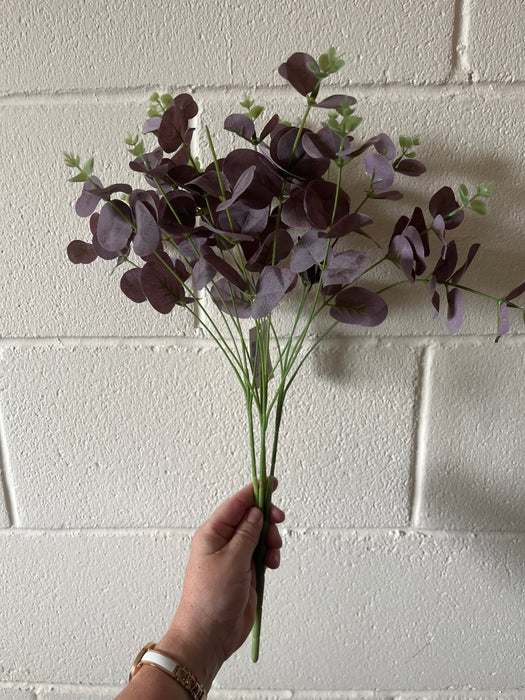 Purple eucalyptus bush