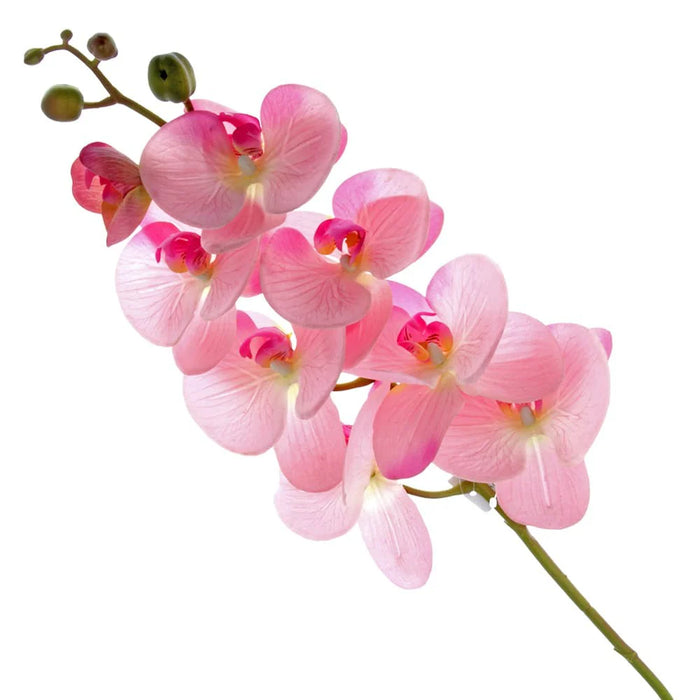 Real Touch Phalaenopsis Orchid - Pink  - 8 heads, 99cm long
