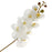 Real Touch Phalaenopsis Orchid - Cream  - 8 heads, 99cm long
