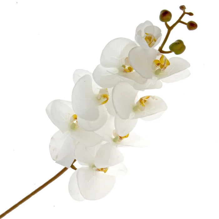 Real Touch Phalaenopsis Orchid - Cream  - 8 heads, 99cm long