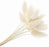 Dried Lagurus Bunny Tail Grass - White - 60cm Tall - 80g per Pack
