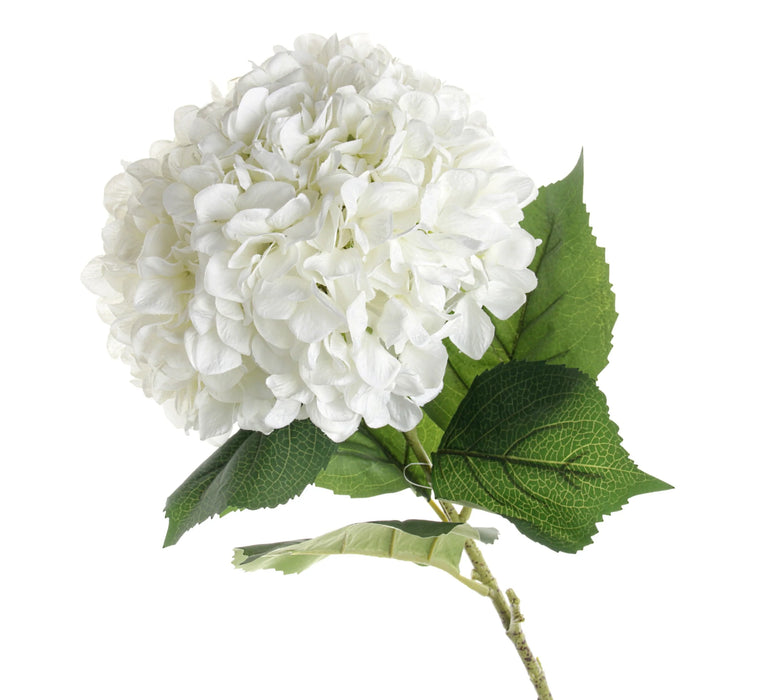 Large 30cm Diameter Single Hydrangea - 106cm Length - White