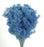 Preserved Broom Blooms x 100g - Blue