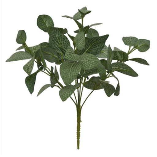 35cm Fittonia Leaf Bush