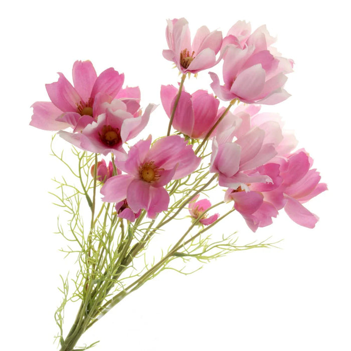 Coreopsis Flower Bundle - 3 stems x 62cm long - Purple & Pink